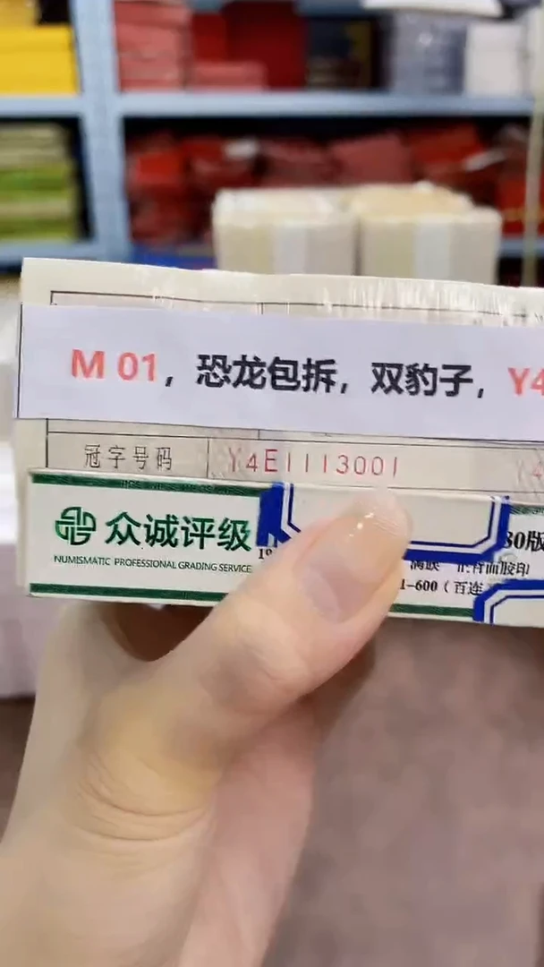 M 01，恐龙包拆，双豹子，Y4E1113333