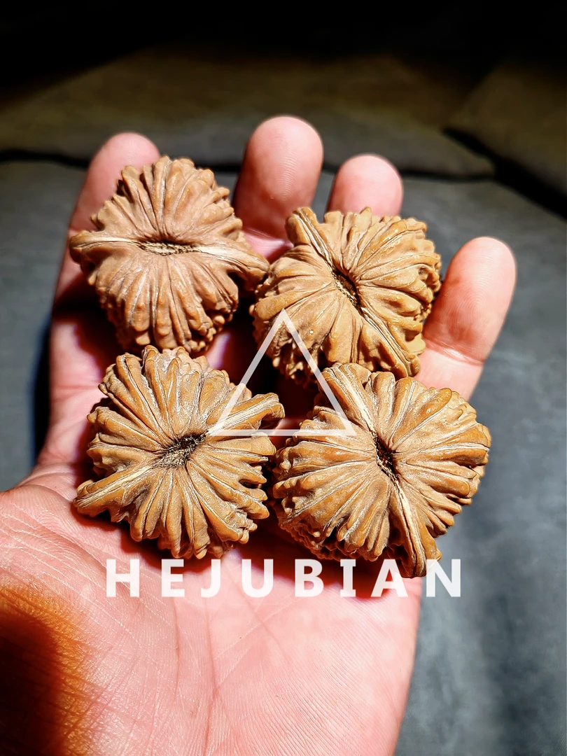 【核聚昪】全品无修四座楼丨新手入坑首选丨适合新手