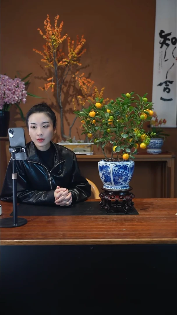 全部花朵小金橘山水盆景盆景盆景