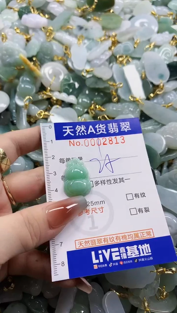 颈饰未镶嵌翡翠天然A货翡翠
