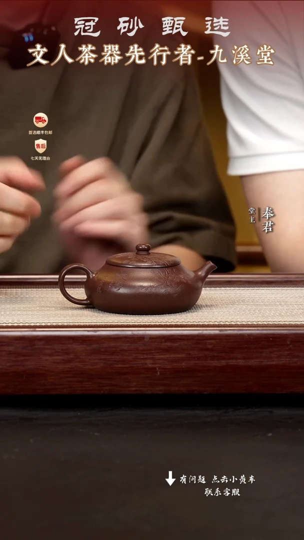 茶壶紫砂九溪堂壶s20