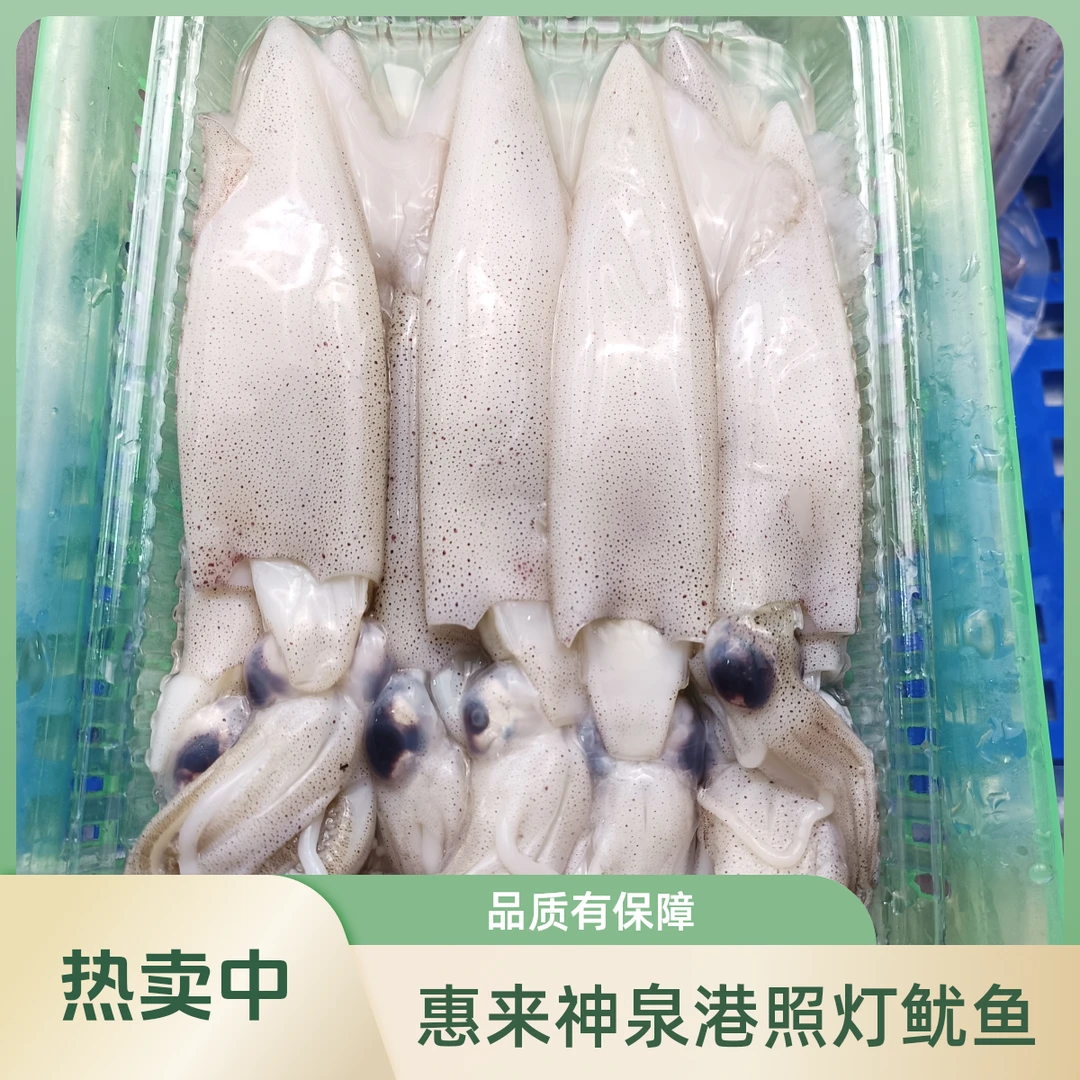 【照灯鱿鱼】惠来神泉港照灯鱿鱼【5盒】顺丰冷链省内包邮次日达