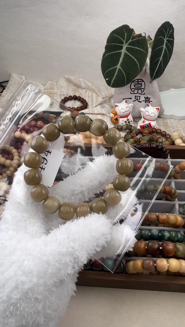 菩提根/象牙果手串性****肌a494卡14.7 干磨飘