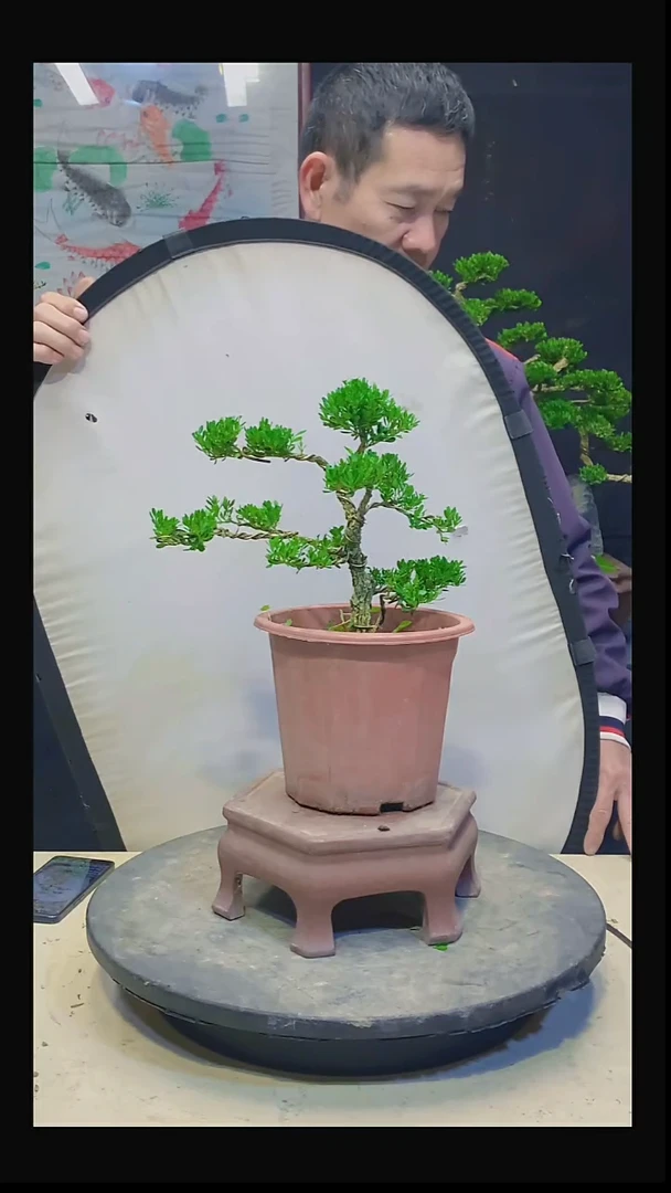 无花朵黃**戚11111111111