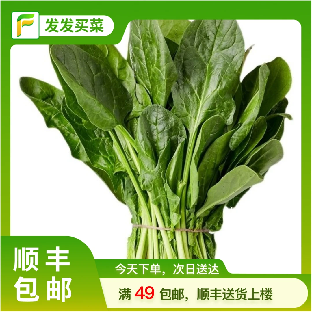 地产鲜菠菜200g±5g/份蔬菜菠菜