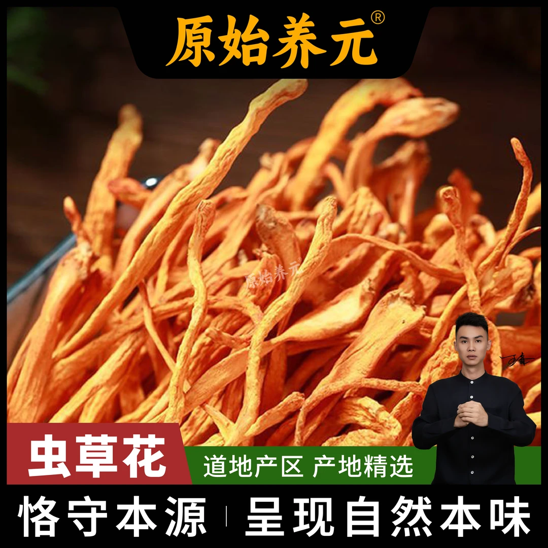 云南农家晒干山珍花虫草花炖汤炖鸡软糯扣弹的煲汤食材