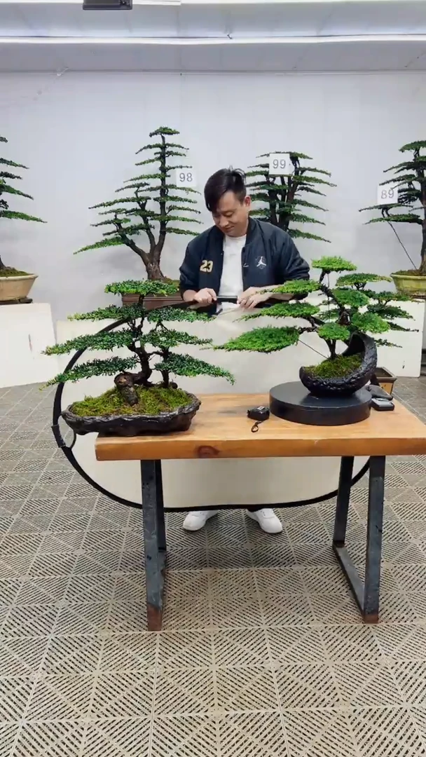 无花朵造型盆景一物一拍