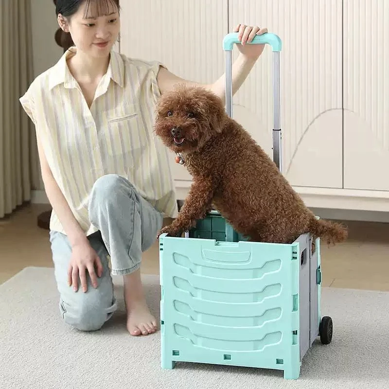 高颜值收纳箱      LALX