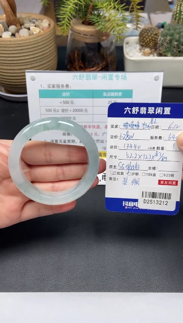 翡翠未镶嵌颈饰D2513212