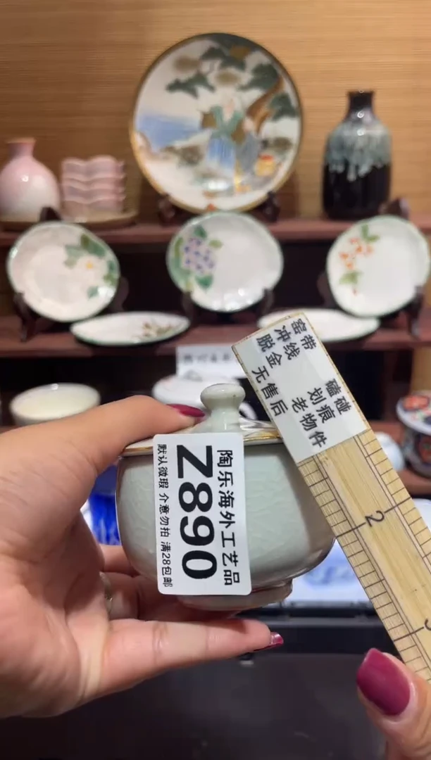 其他A****季           Z890