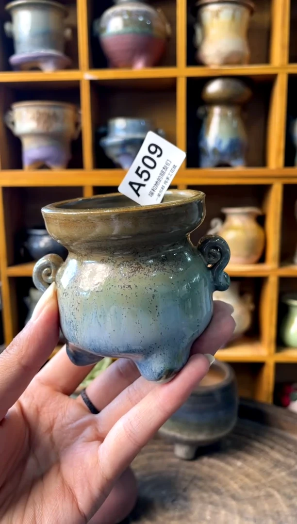 509【多肉花盆多肉盆】