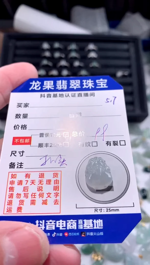 【闪购商品】翡翠颈饰未镶嵌貔貅517
