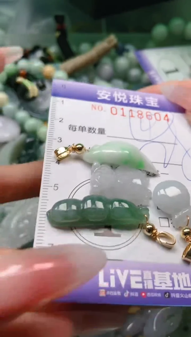 【闪购商品】翡翠颈饰未镶嵌闪购0118604