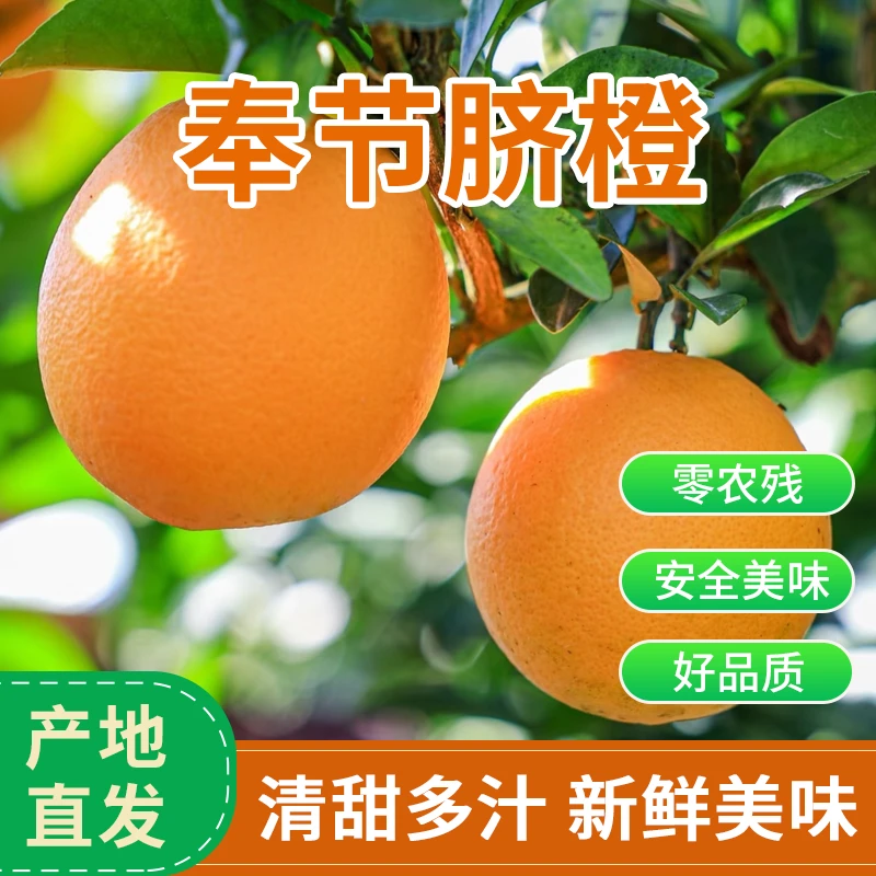 重庆产地庆香姐脐橙果园直发五斤装精品装