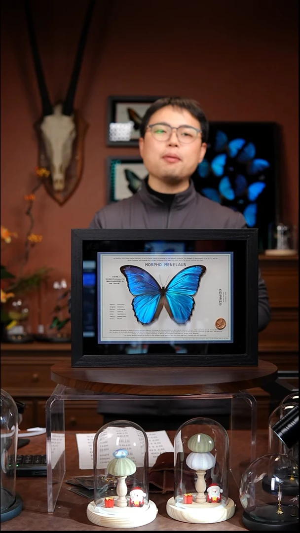 大蓝闪蝶-横版设计款【A4黑框】