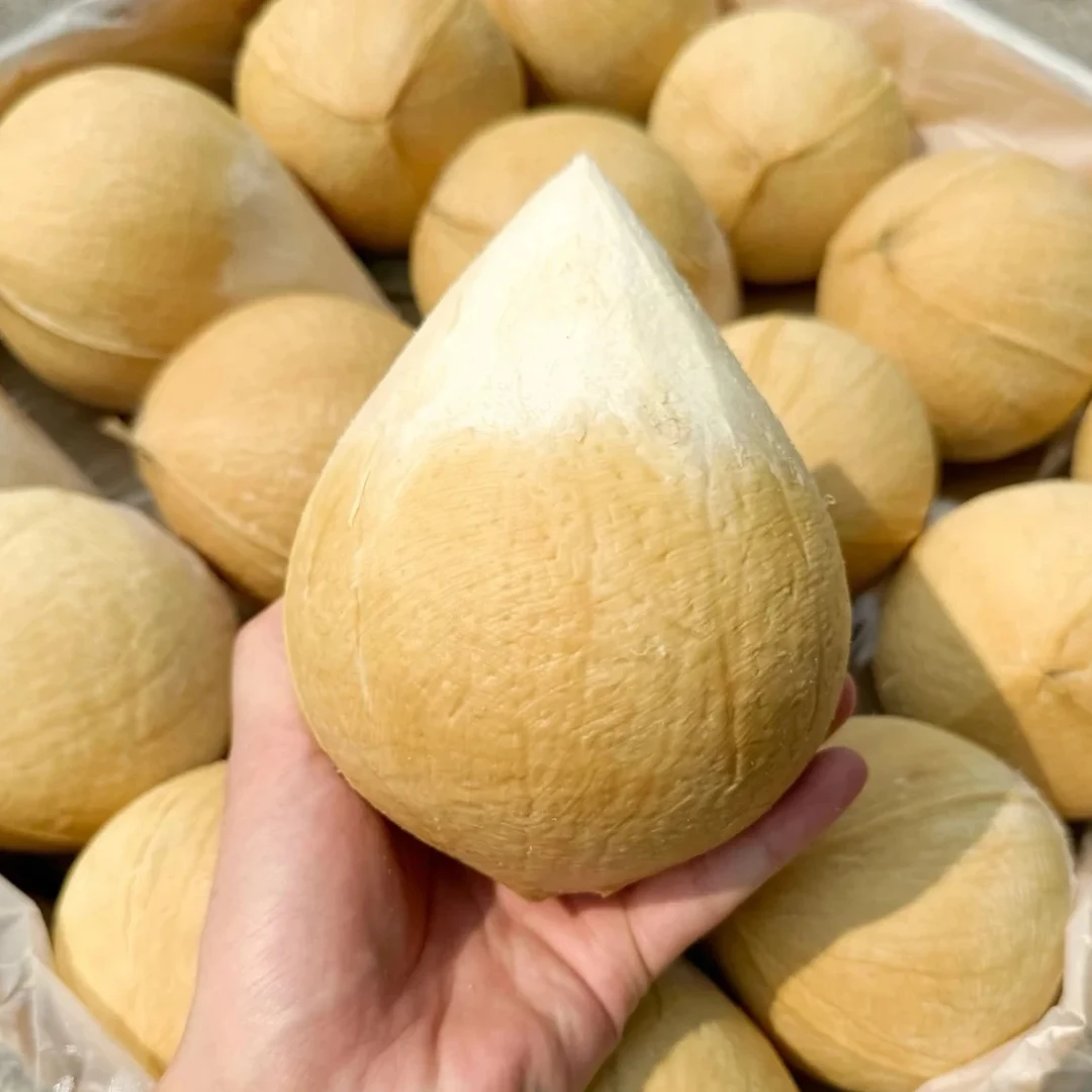 【同城送】泰国A级海凤普椰青小果（一个）（不称斤）