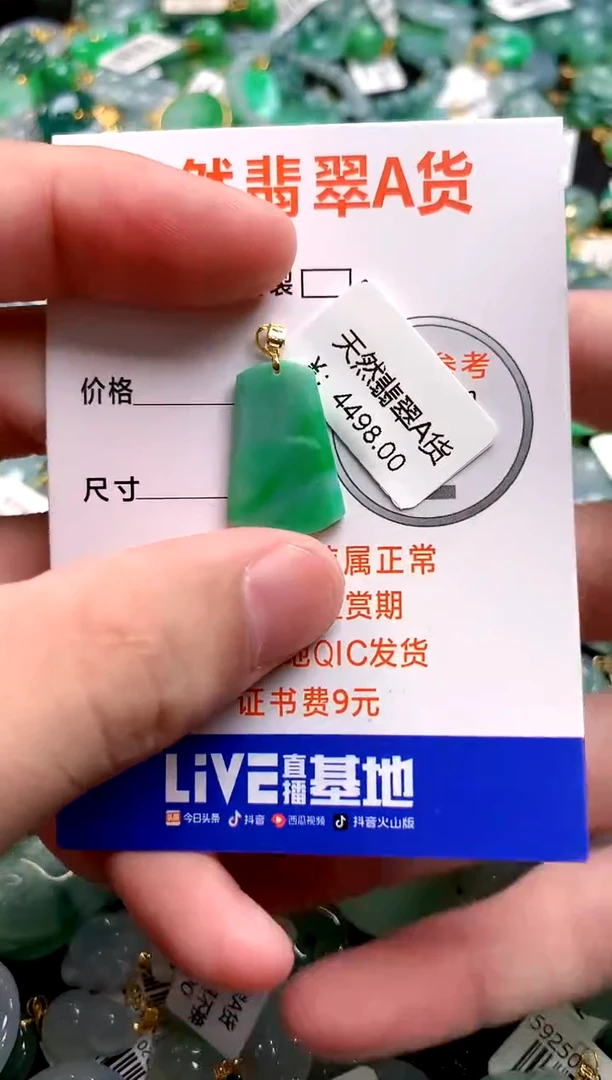 颈饰18K金镶嵌翡翠0281741725