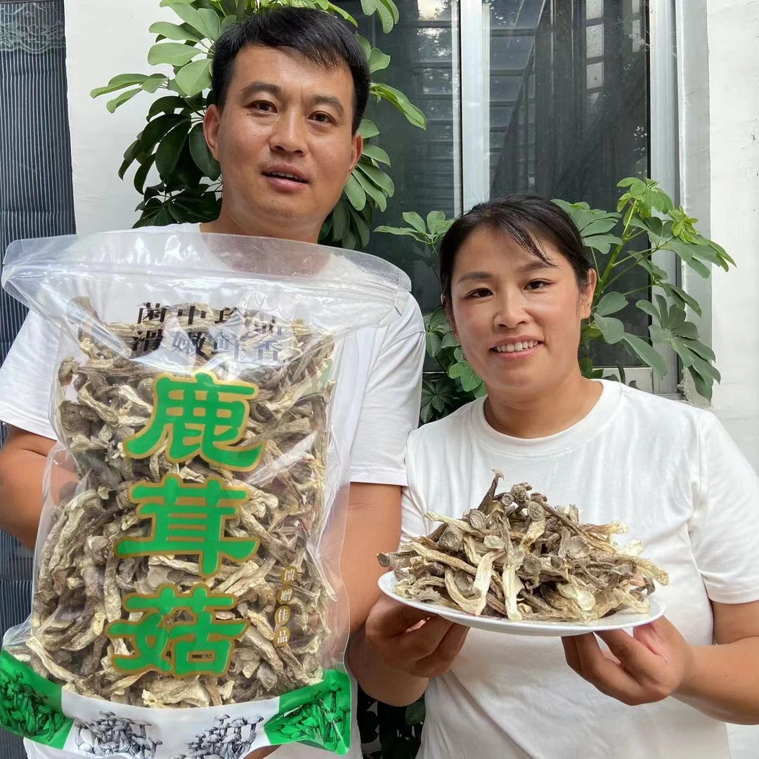 【大范小董专属】2025年新鹿茸菇1斤装