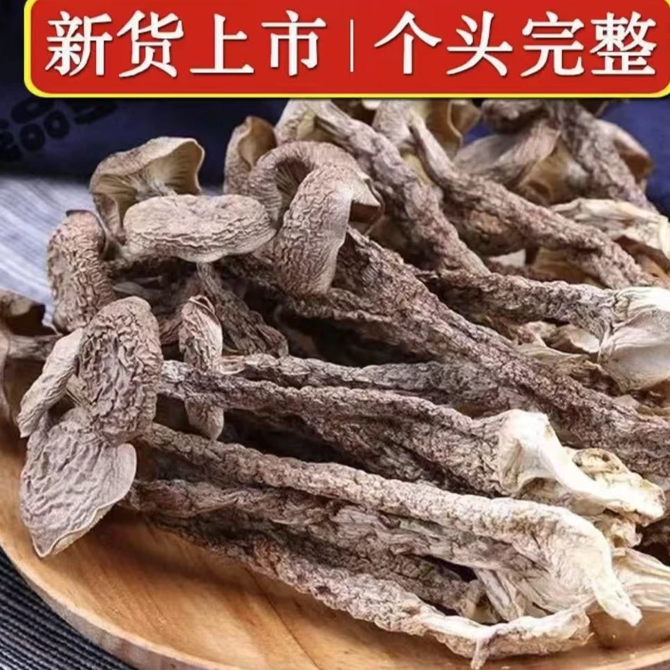 鹿茸菇干货高山食用菌干锅爆炒新鲜食材