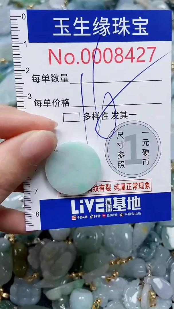 【闪购商品】翡翠颈饰未镶嵌闪购00008427