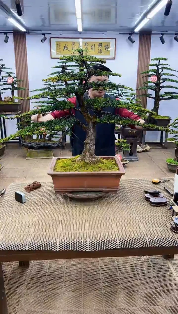 【闪购商品】000000000