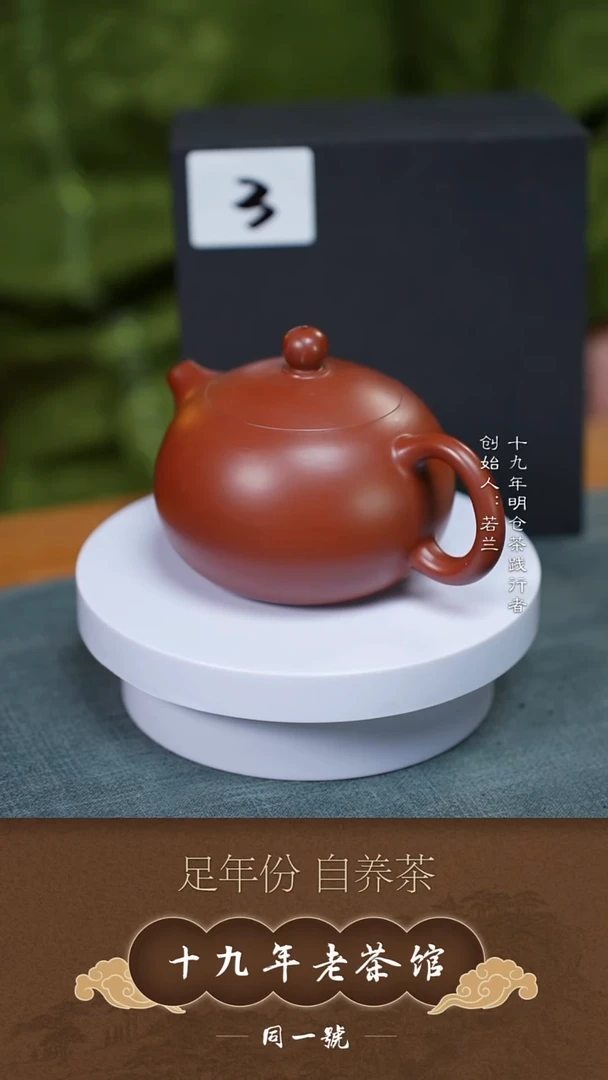 茶壶紫砂宜兴原矿紫砂壶3号