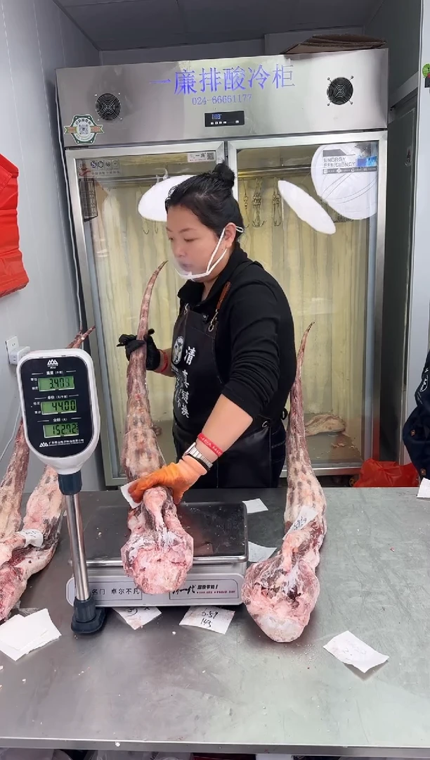 冷冻保存6个月中国大陆6.77