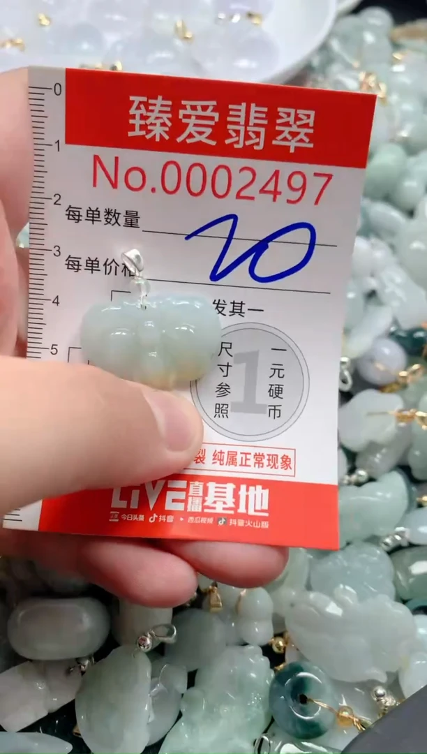 颈饰未镶嵌翡翠2497