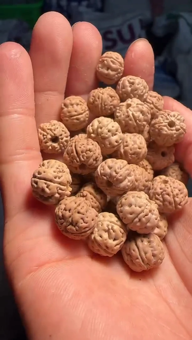 手串金刚菩提非全品老树王散籽12-13mm一份一百颗