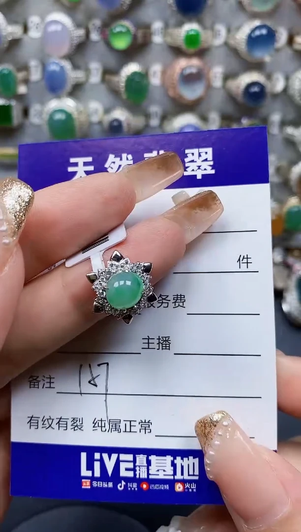 翡翠银S925镶嵌颈饰157