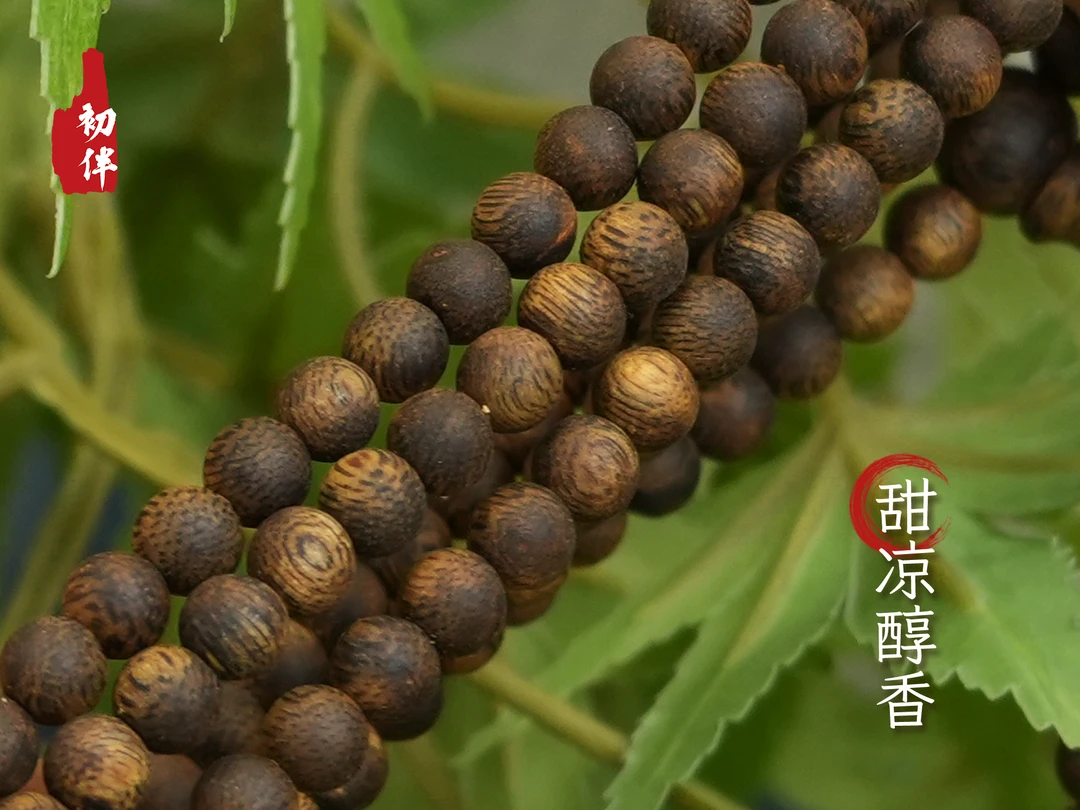 沉香【99分沉，香韵醇厚】高品质奇楠圆珠多圈手串 5~7mm多样性发一