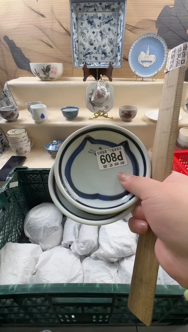 瓷片L***?         P809