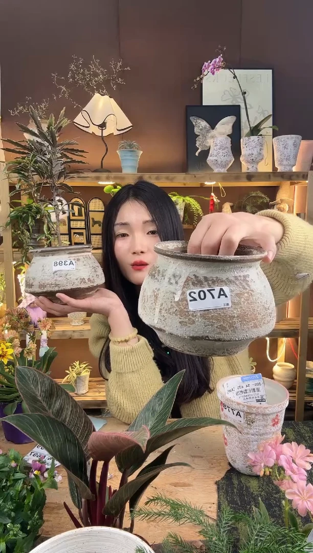 无花朵樱****2702盆子