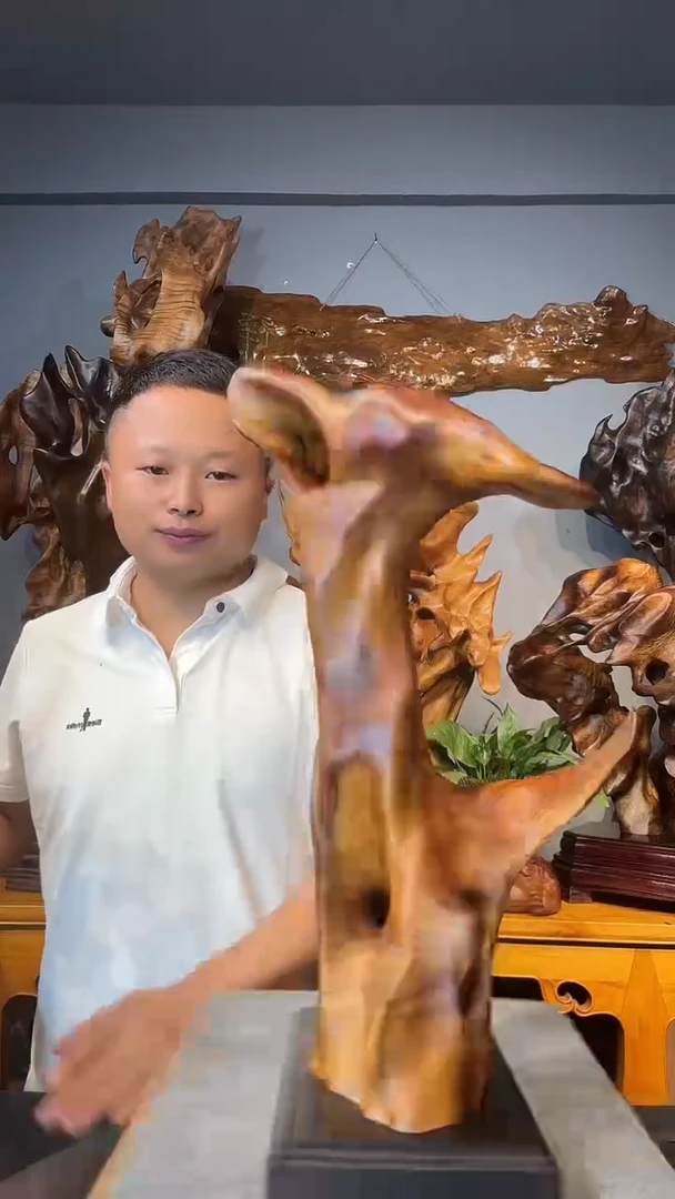 金丝楠苹**艺以直播间介绍为准
