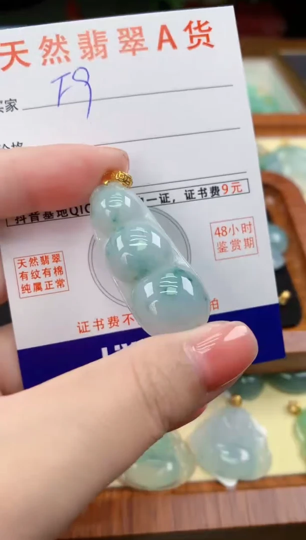 颈饰未镶嵌翡翠天然A货翡翠挂件