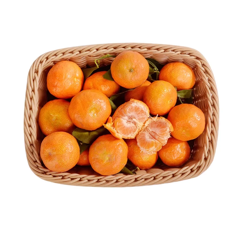 四会砂糖桔约500g±50g广东省
