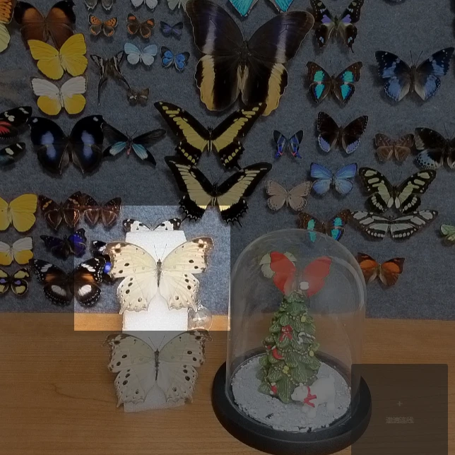 绿贝矩蛱蝶A1不带框