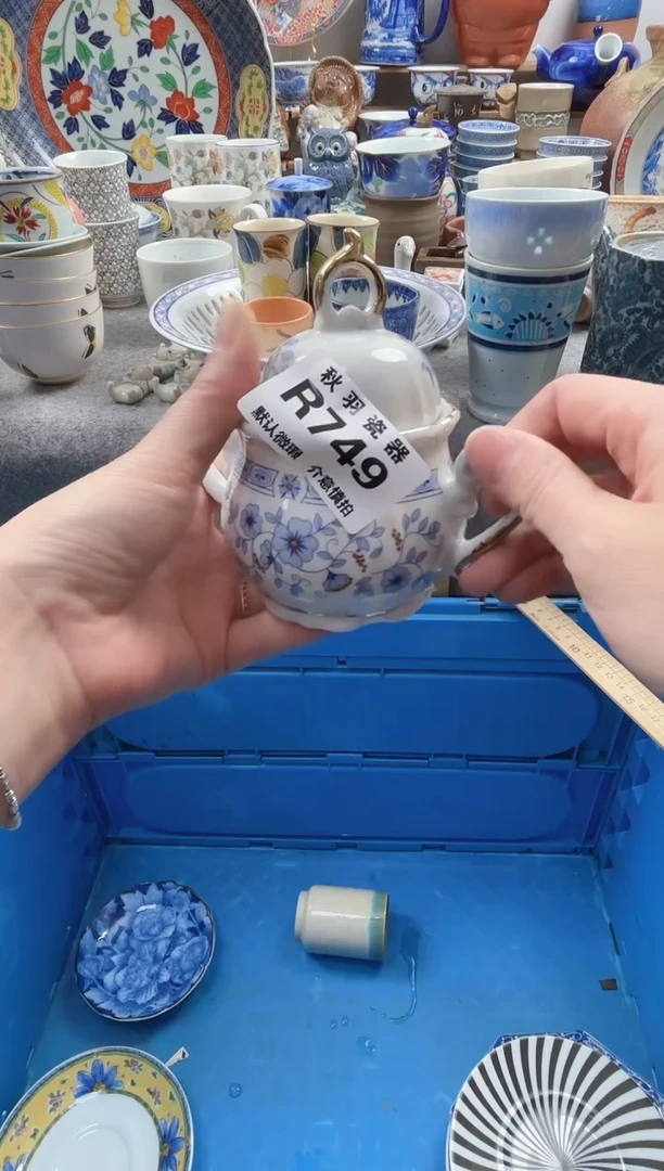 日式用****6默认微瑕秋羽R749