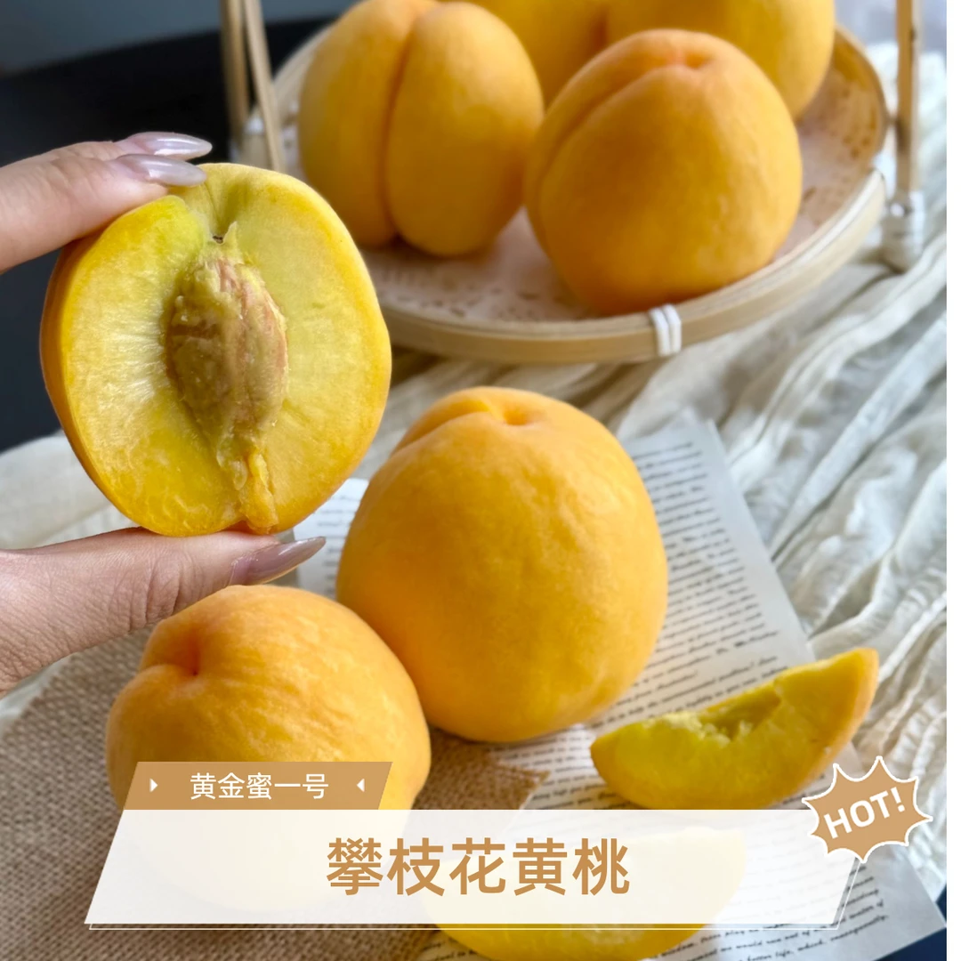 【韩美丽专属】黄金蜜一号 攀枝花黄桃 桃味扑鼻 蜜甜爆汁