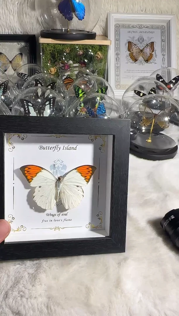 有机玻璃鹤顶分相框