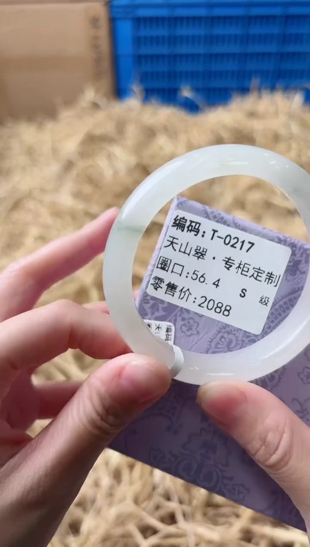 未镶嵌手镯石英质玉T-0217