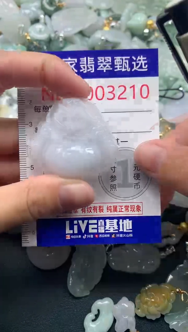 吊坠(不含链)未镶嵌翡翠3210