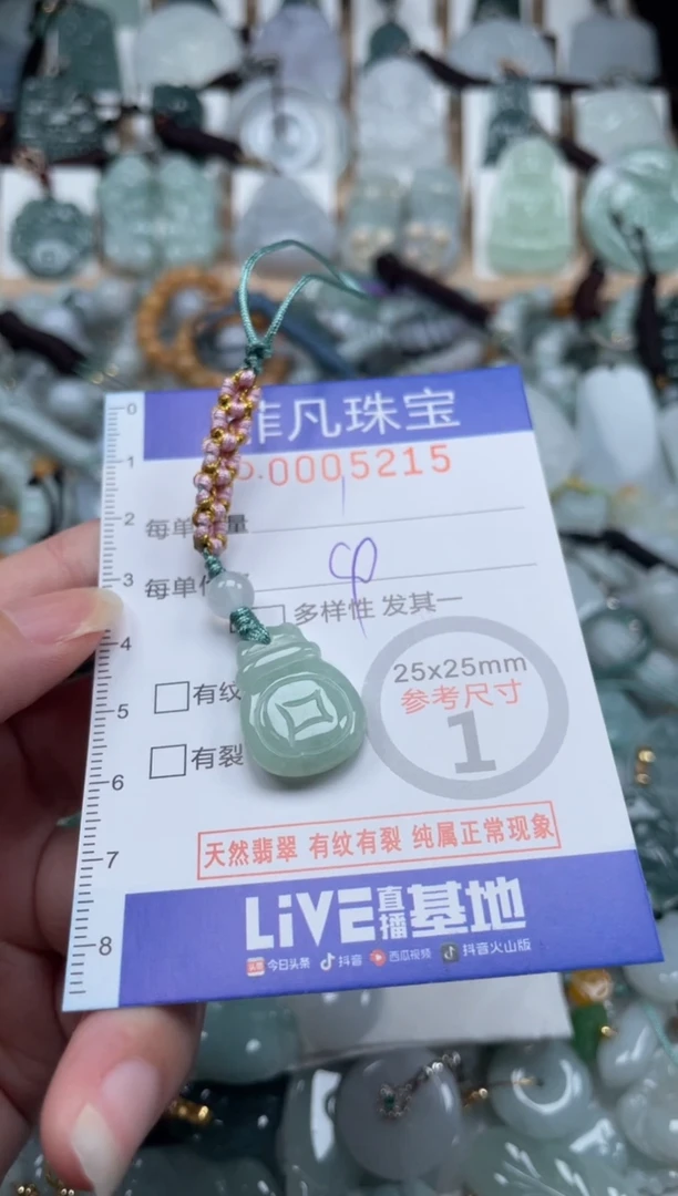 翡翠未镶嵌颈饰00..5215