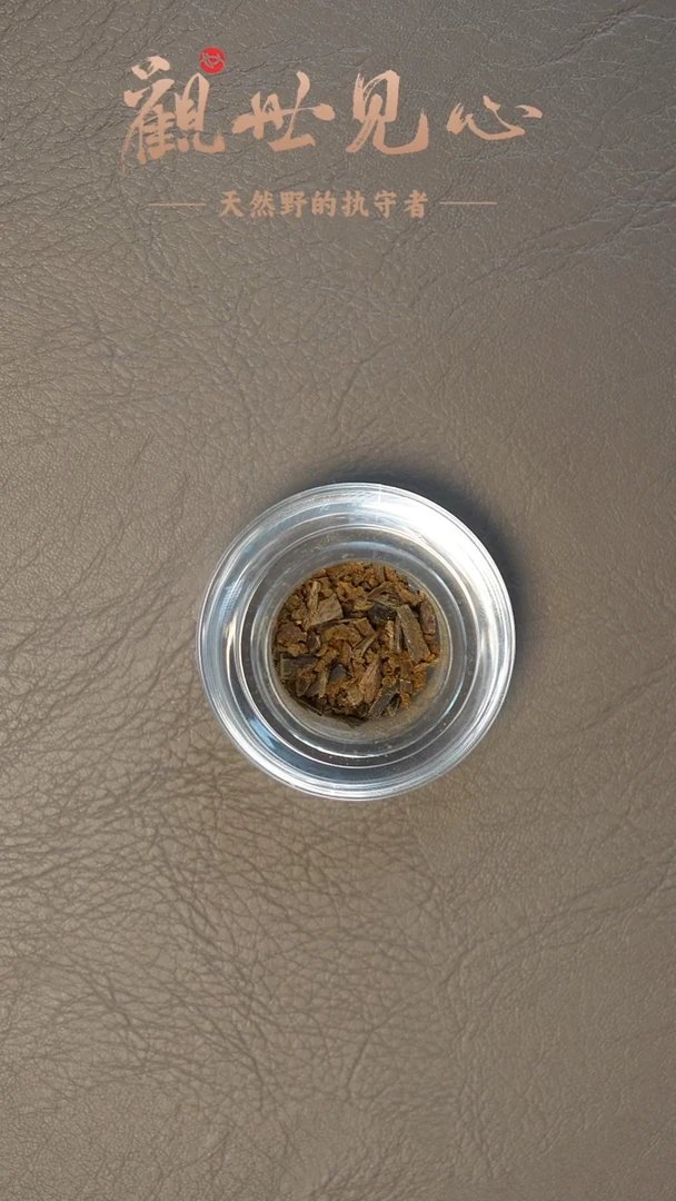 沉香沉香碎屑密支那碎料锯粉  1g