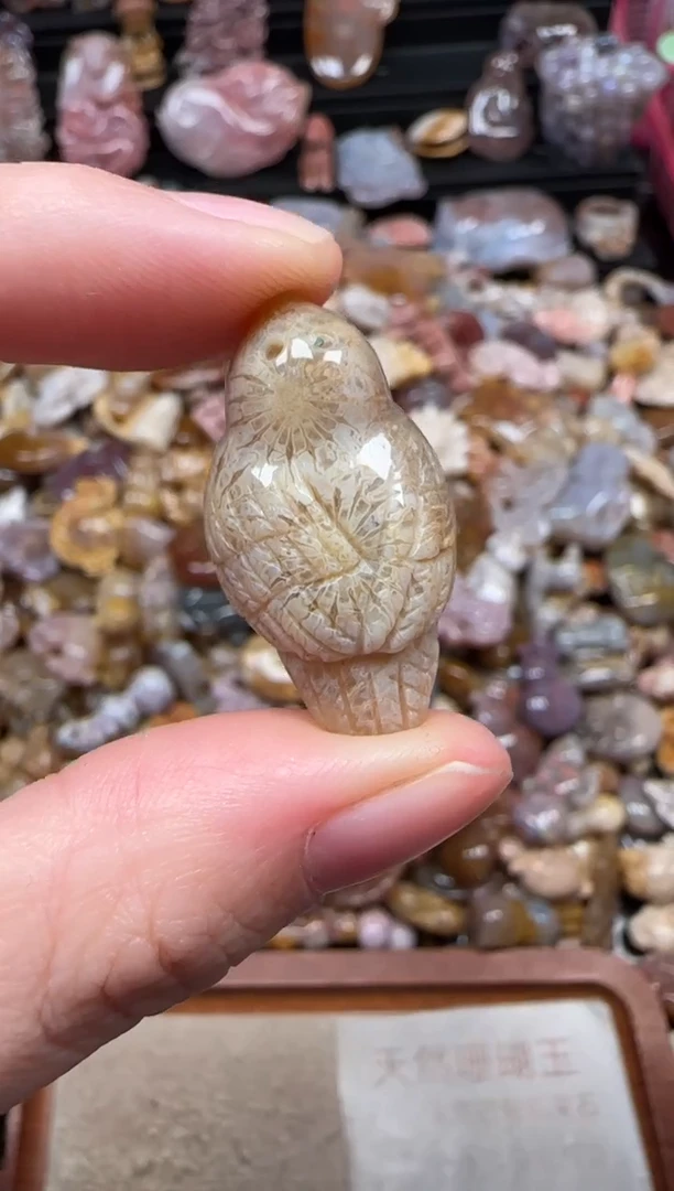 颈饰未镶嵌硅化珊瑚（珊瑚玉）274