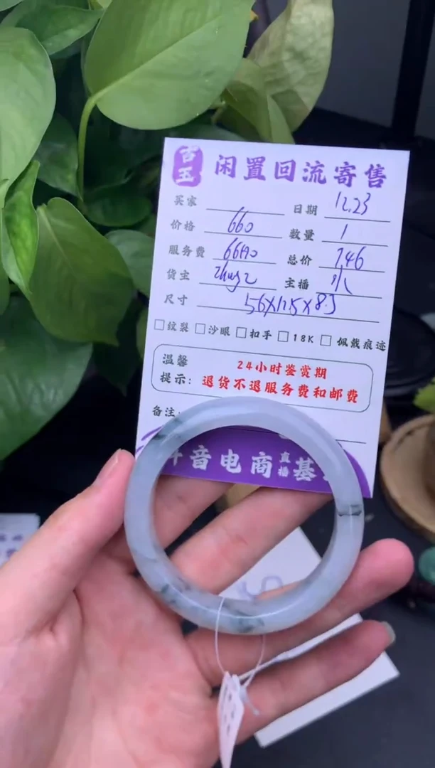 未镶嵌手镯翡翠手镯