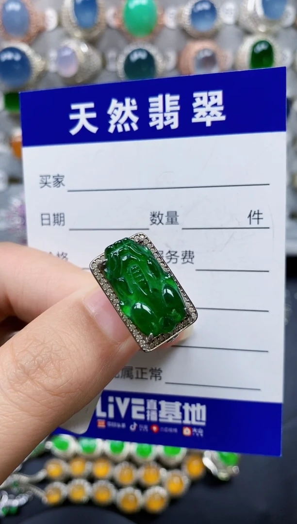 翡翠银S925镶嵌颈饰498