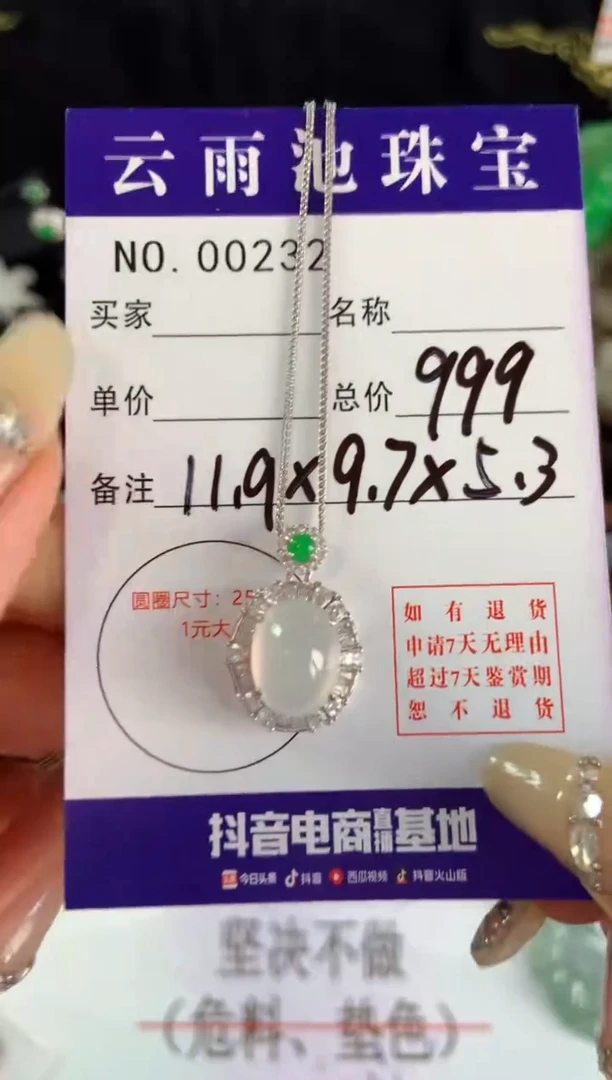 【闪购商品】翡翠颈饰银S925镶嵌翡翠