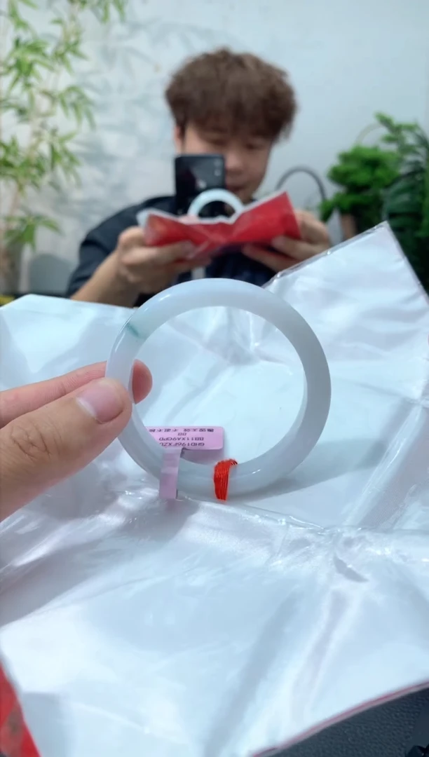 未镶嵌手镯翡翠13