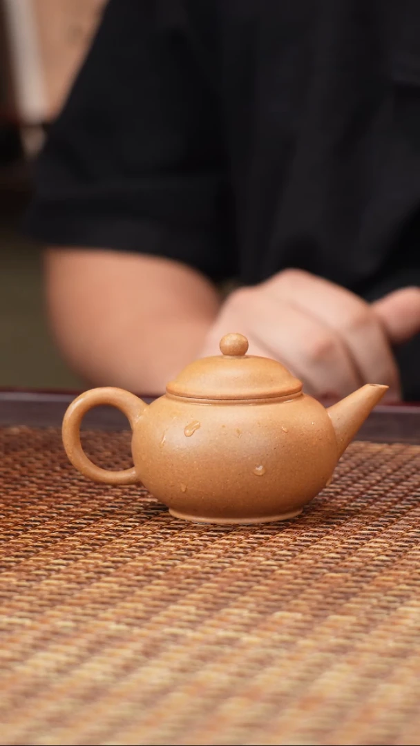 茶壶紫砂汀禾紫砂水平